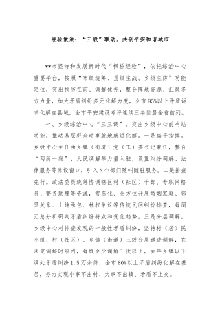 经验做法：“三级”联动，共创平安和谐城市