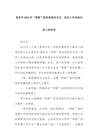某某市2025年“两新”组织党组织书记、党务工作者培训班上的讲话