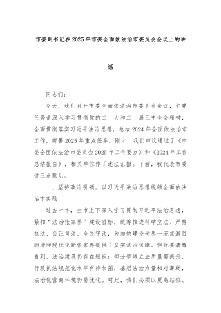 市委副书记在2025年市委全面依法治市委员会会议上的讲话