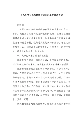 县纪委书记在新提拔干部会议上的廉政谈话