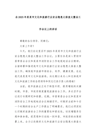 在2025年某某市文化和旅游行业安全隐患大排查大整治工作会议上的讲话