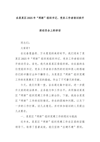 在某某区2025年“两新”组织书记、党务工作者培训班开班动员会上的讲话