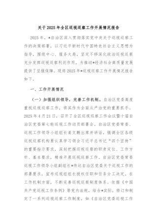 关于2025年全区巡视巡察工作开展情况报告