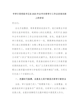 市审计局党组书记在2025年全市内部审计工作业务培训班上的讲话