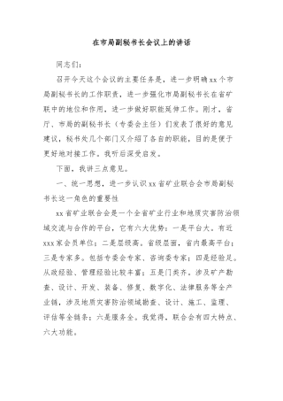 在市局副秘书长会议上的讲话