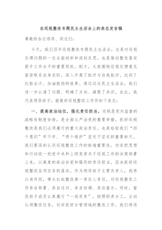 在巡视整改专题民主生活会上的表态发言稿