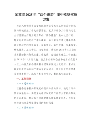 某某市2025年“两个覆盖”集中攻坚实施方案