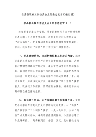 (2篇)在县委巡察工作动员会上的表态发言汇编