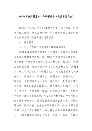 2025年乡镇开展重点工作调研报告（党委书记发言）
