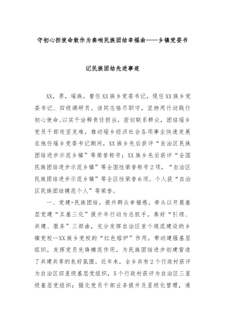 守初心担使命敢作为奏响民族团结幸福曲——乡镇党委书记民族团结先进事迹