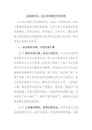 县委副书记、县长任职情况评价材料