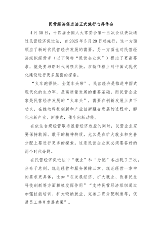 民营经济促进法正式施行心得体会