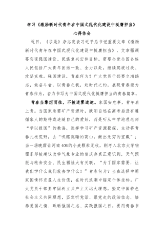 学习《激励新时代青年在中国式现代化建设中挺膺担当》心得体会
