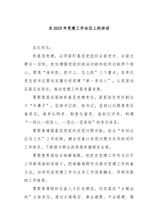 在2025年党建工作会议上的讲话