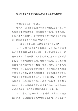 在全市监督体系建设试点工作座谈会上的汇报发言