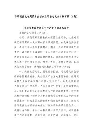 (3篇)在巡视整改专题民主生活会上的表态发言材料汇编