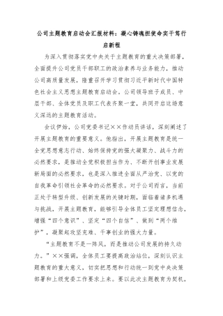 公司主题教育启动会汇报材料：凝心铸魂担使命实干笃行启新程