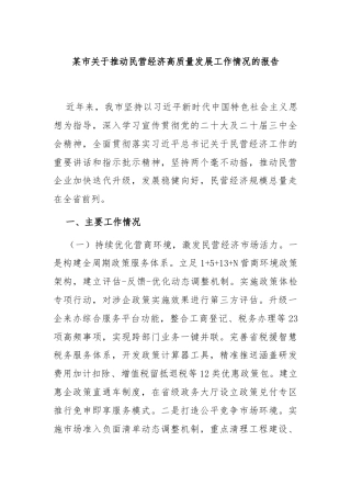 某市关于推动民营经济高质量发展工作情况的报告