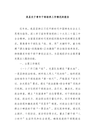 某县关于青年干部培养工作情况的报告