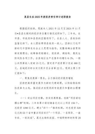 某县长在2025年度经济责任审计述职报告