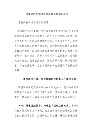 市政府机关党组巡视巡察工作情况汇报