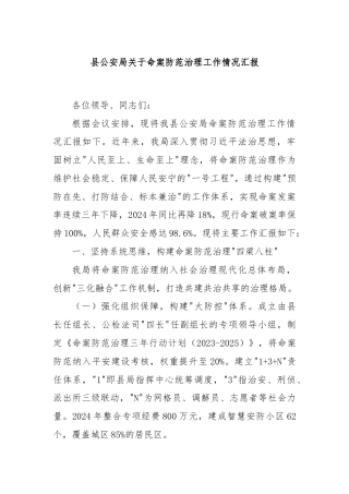 县公安局关于命案防范治理工作情况汇报