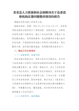 某某县人力资源和社会保障局关于县委巡察机构反馈问题整改情况的报告