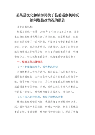 某某县文化和旅游局关于县委巡察机构反馈问题整改情况的报告