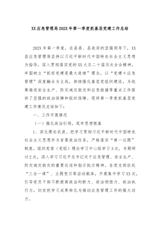 XX应急管理局202X年第一季度抓基层党建工作总结