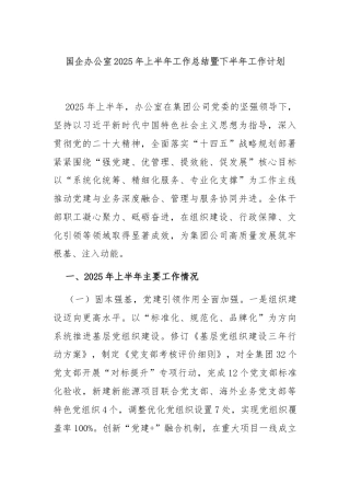 国企办公室2025年上半年工作总结暨下半年工作计划