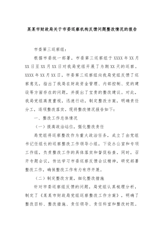 某某市财政局关于市委巡察机构反馈问题整改情况的报告