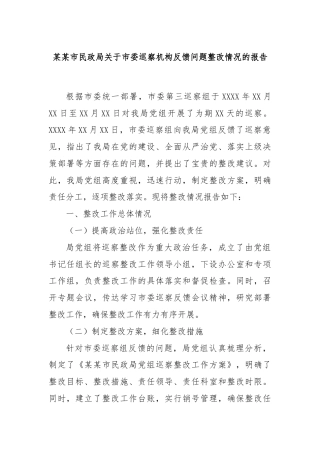 某某市民政局关于市委巡察机构反馈问题整改情况的报告