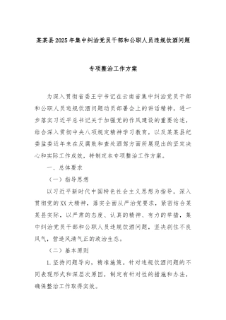 某某县2025年集中纠治党员干部和公职人员违规饮酒问题专项整治工作方案