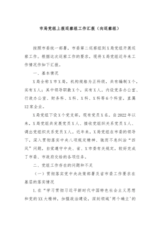 市局党组上报巡察组工作汇报（向巡察组）