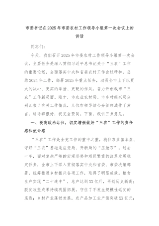 市委书记在2025年市委农村工作领导小组第一次会议上的讲话