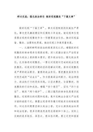 研讨交流：强化政治责任 做好巡视整改“下篇文章”