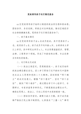 党政领导班子运行情况报告