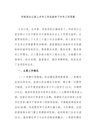 市政府办公室上半年工作总结和下半年工作思路