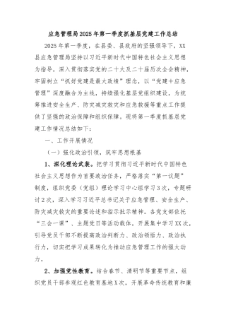 应急管理局2025年第一季度抓基层党建工作总结