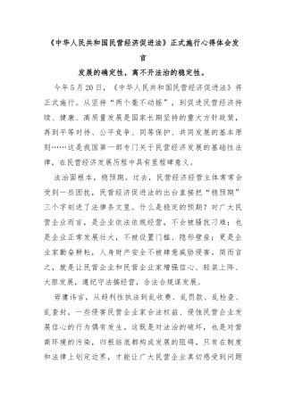 《中华人民共和国民营经济促进法》正式施行心得体会发言