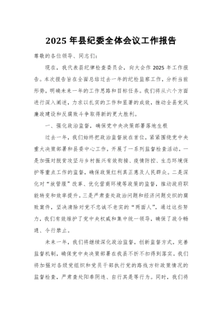 2025年县纪委全体会议工作报告