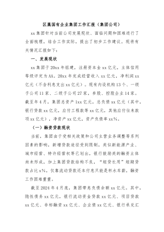 区属国有企业集团工作汇报（集团公司）