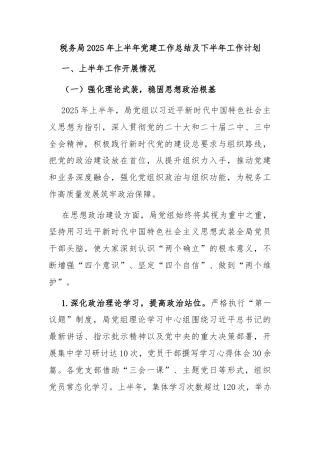 税务局2025年上半年党建工作总结及下半年工作计划