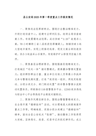 县公安局2025年第一季度重点工作落实情况