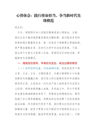 心得体会：践行使命担当，争当新时代先锋模范