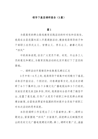 (3篇)领导下基层调研报告