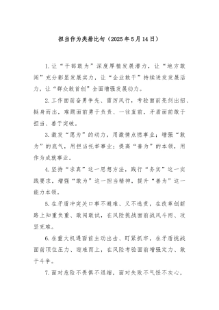 担当作为类排比句（2025年5月14日）