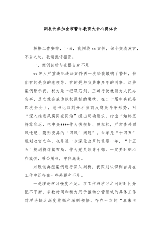 副县长参加全市警示教育大会心得体会