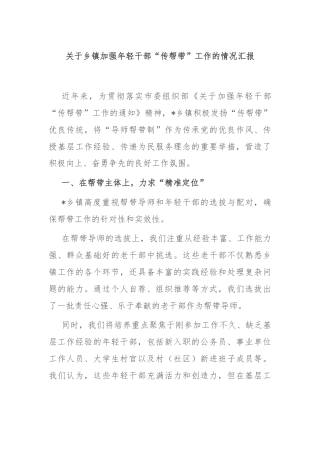 关于乡镇加强年轻干部“传帮带”工作的情况汇报