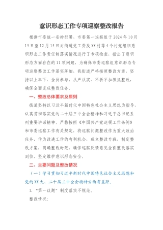 意识形态工作专项巡察整改报告